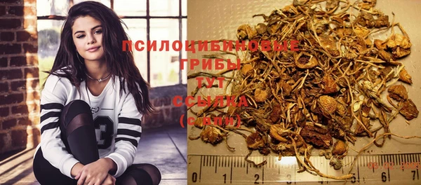 MESCALINE Верея