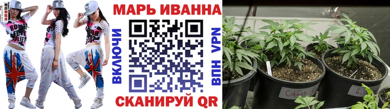 МАРИХУАНА Amnesia  Гагарин 